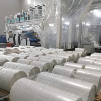 CO-Extrusion multiple layer EVOH high barrier film roll